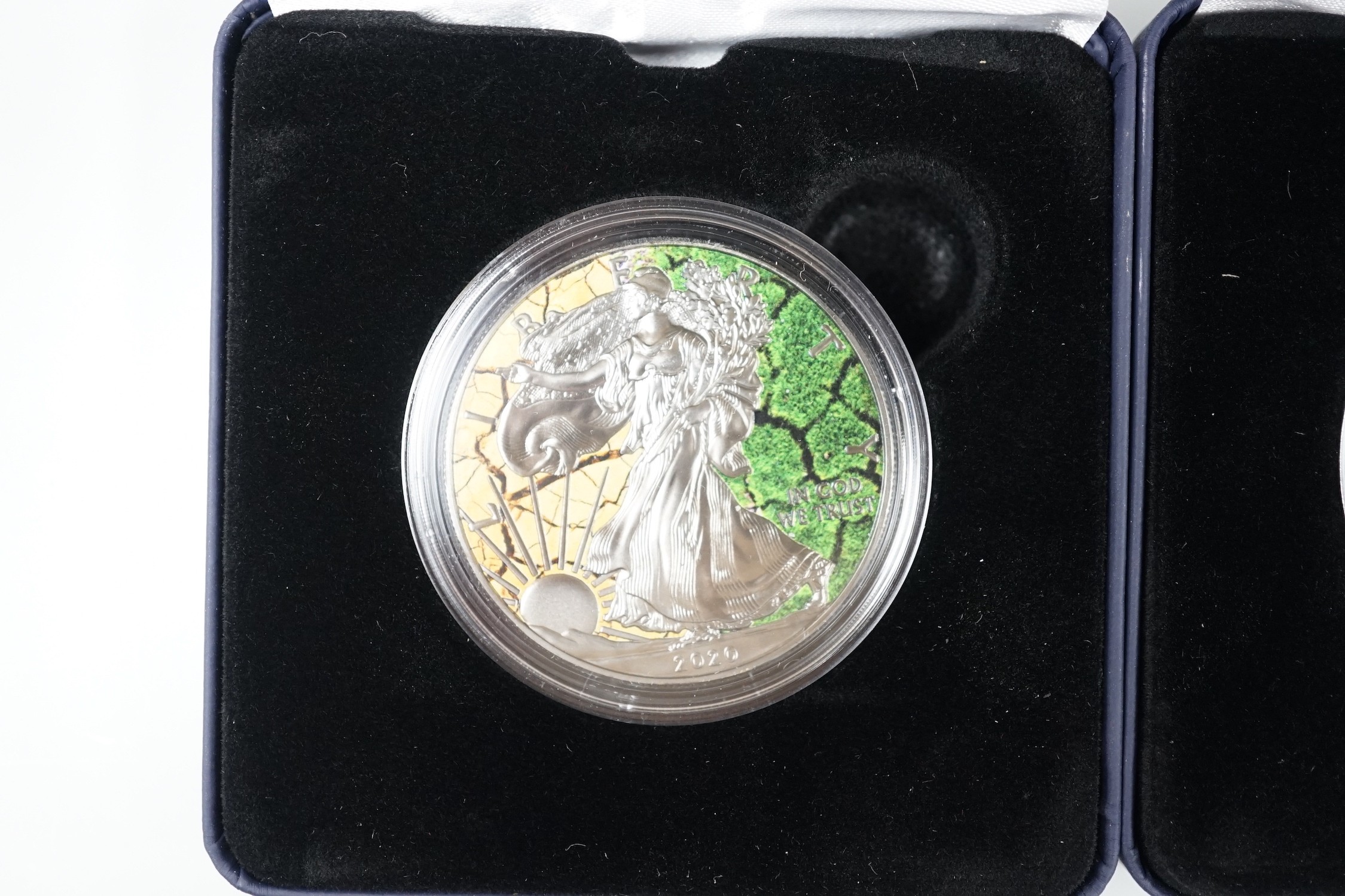A World Money Fair Red back spider 5oz. Proof silver coin, three art colour 1oz. Silver dollars and a Burning Robin Hood 1oz. BU silver coin (5)